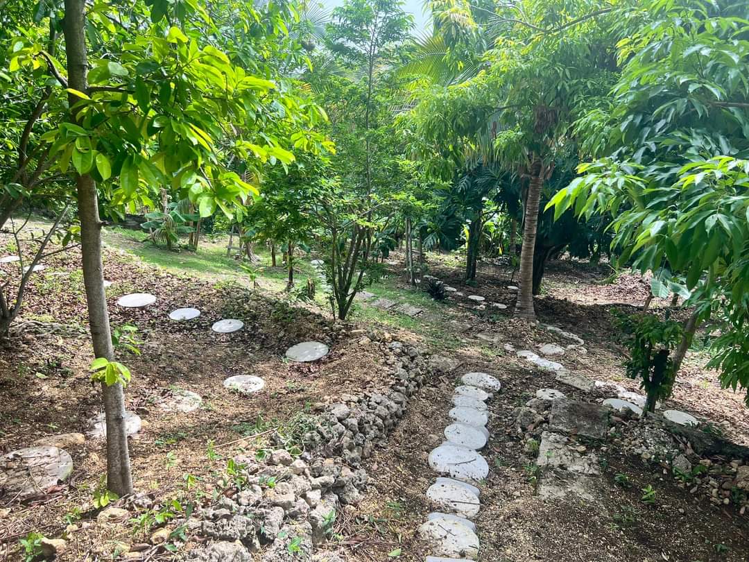 Garden with Fruit Trees